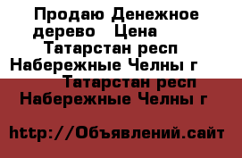 Продаю Денежное дерево › Цена ­ 70 - Татарстан респ., Набережные Челны г.  »    . Татарстан респ.,Набережные Челны г.